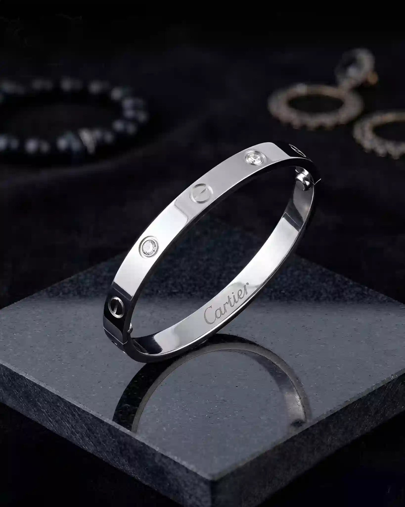 Stone Steel Bangle